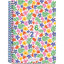 aplimr21034-agenda-escolar-plus-s-v