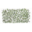 hers69207-celosia-hojas-oscuras-0-6