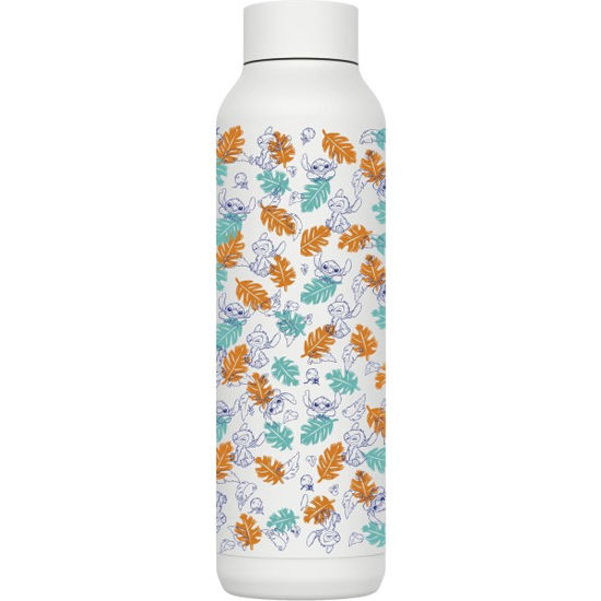 stor39251-botella-termo-inox-630ml-
