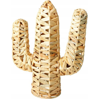 koopla4000310-cactus-decoracion-24x