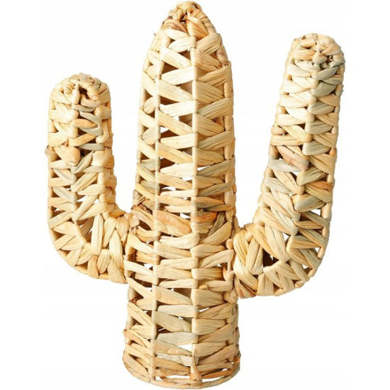 koopla4000310-cactus-decoracion-24x