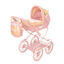 decu80070-coche-muneca-48cm-plegabl