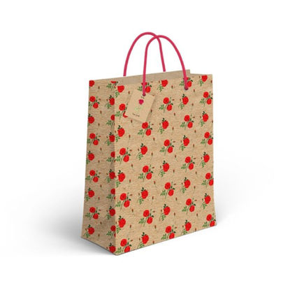 cial21851043-bolsa-papel-m-craft-ro