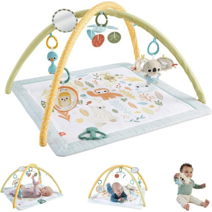 mattjmn740-gimnasio-infantil-fisher