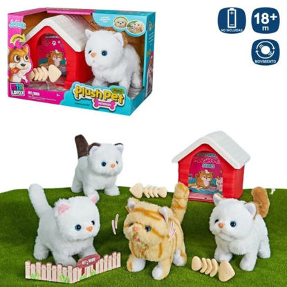 juin702628-mascota-gato-andador-20c