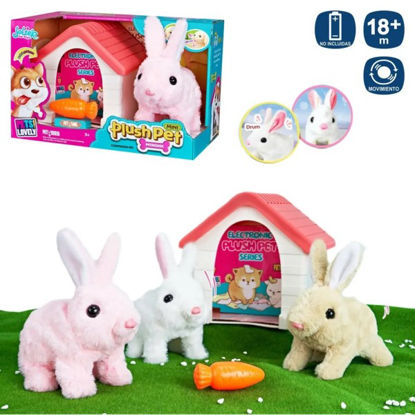 juin702627-mascota-conejo-andador-2