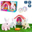 juin702627-mascota-conejo-andador-2