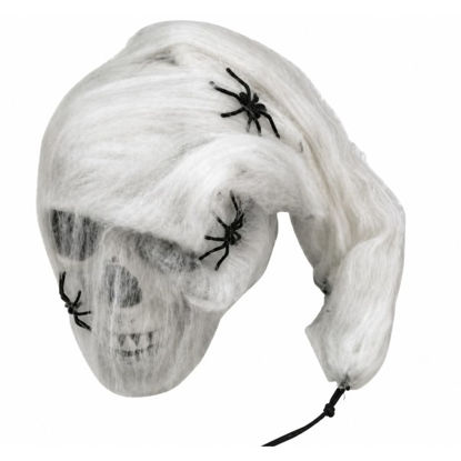 weay232671801-calavera-c-telaarana-