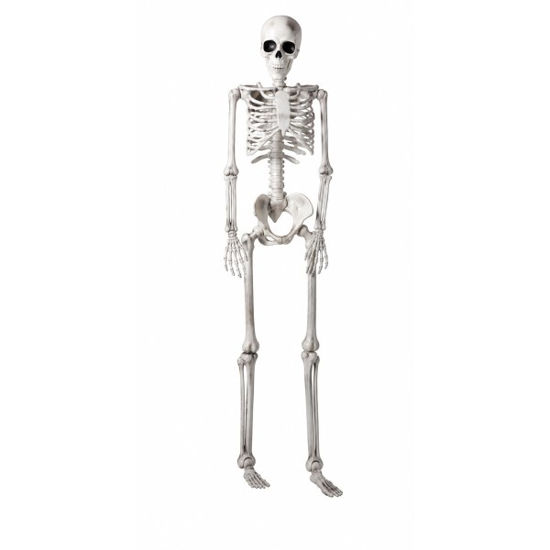 koop477900090-esqueleto-165cm-decor