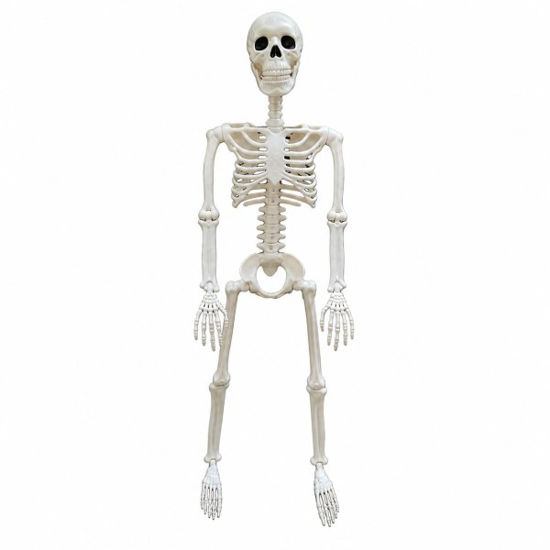 weay1862301b-esqueleto-halloween-90