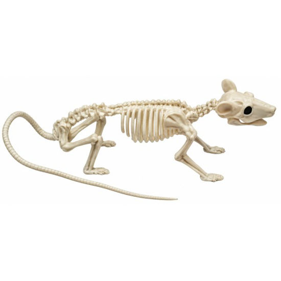 weay142122101-esqueleto-rata-hallow