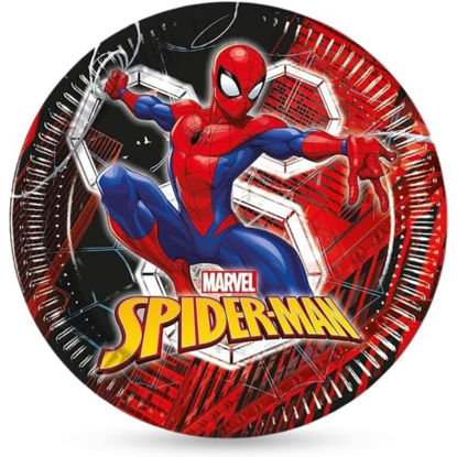lira97313-plato-23cm-spiderman-tela