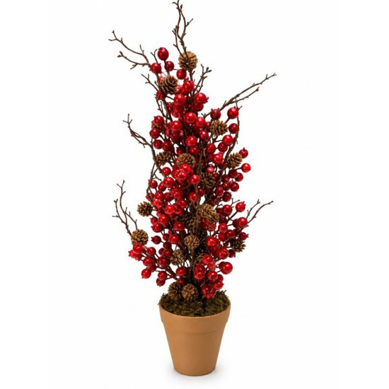 weay1283968-flor-navidad-c-maceta-1