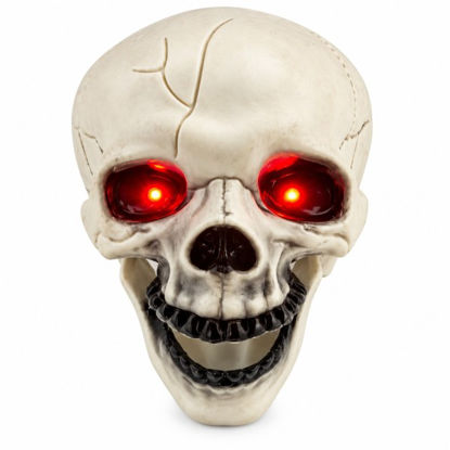 weay1862170-calavera-halloween-c-lu