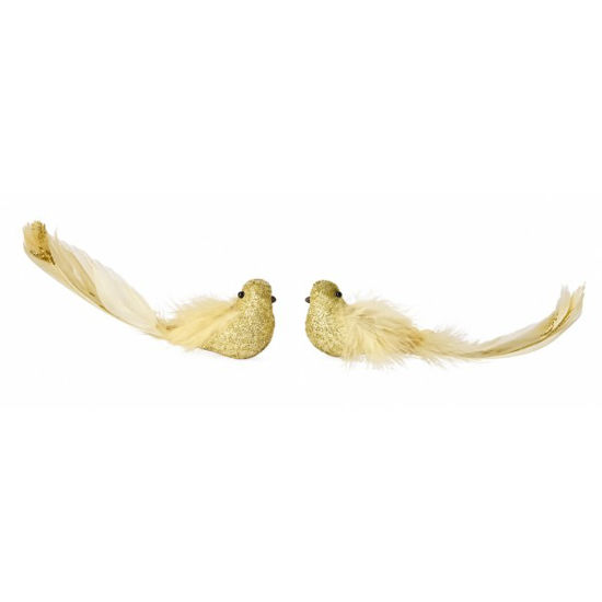 kaem652568-pajaro-foam-brillo-cuerp