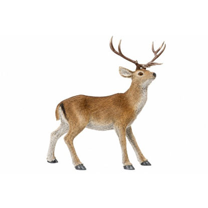 kaem535859-ciervo-natural-67cm