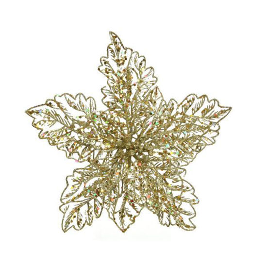 kaem629030-flor-pascua-oro-decoraci