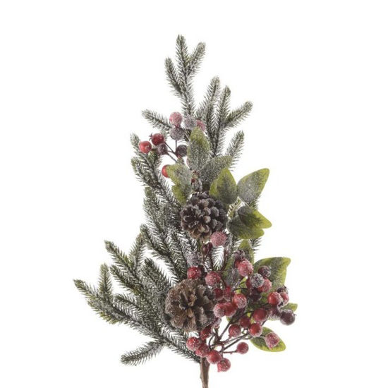 kaem685155-vara-c-nieve-bayas-y-pin