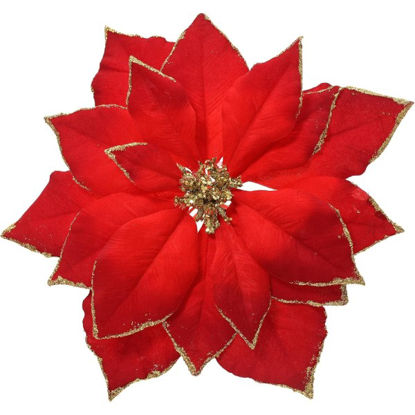 kaem708078-flor-ponsetia-roja-pick