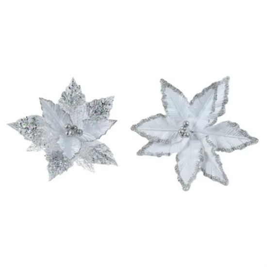 kaem733022-flor-de-pascua-stdo-2-mo