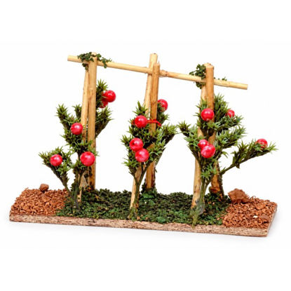 belec11625-tomatera-12x5x7cm-c11625