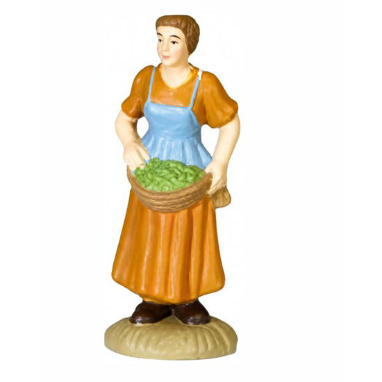 belep31940-pastora-camino-8cm-p3194