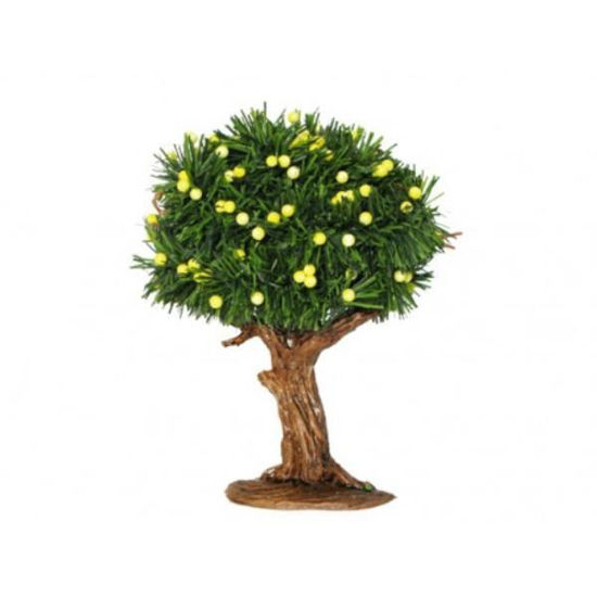 oliv1094-limonero-14cm