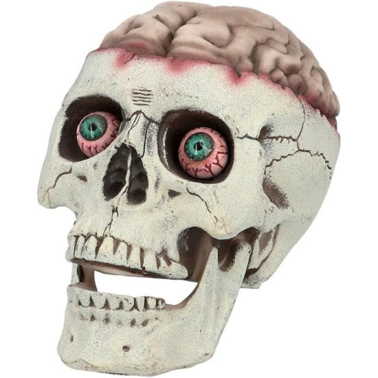 bola73213-craneo-c-muerte-cerebral-
