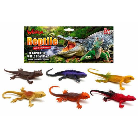 veol6582320-reptiles-6u-stdos