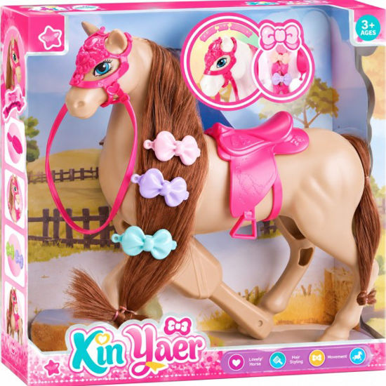 veol6569779-caballo-caja