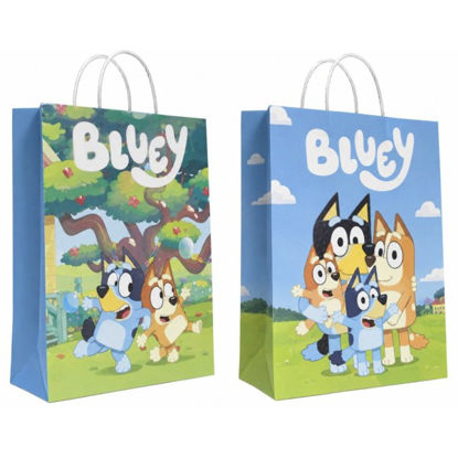 andi2007156-bolsa-regalo-bluey-32x1