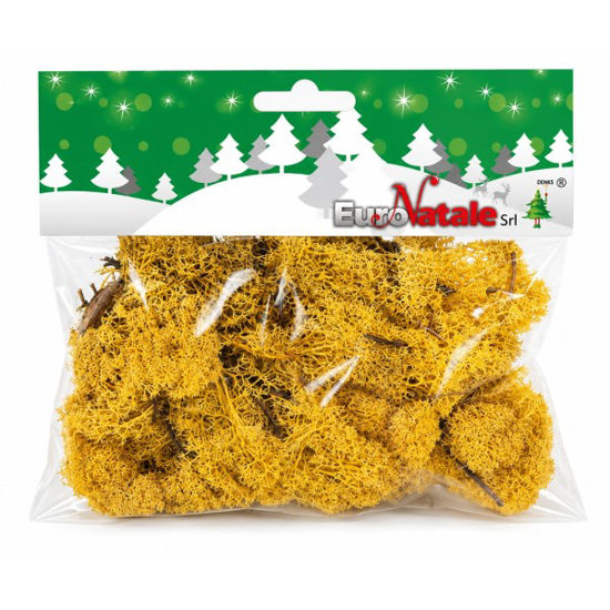 denav51448g-musgo-lichene-amarillo-