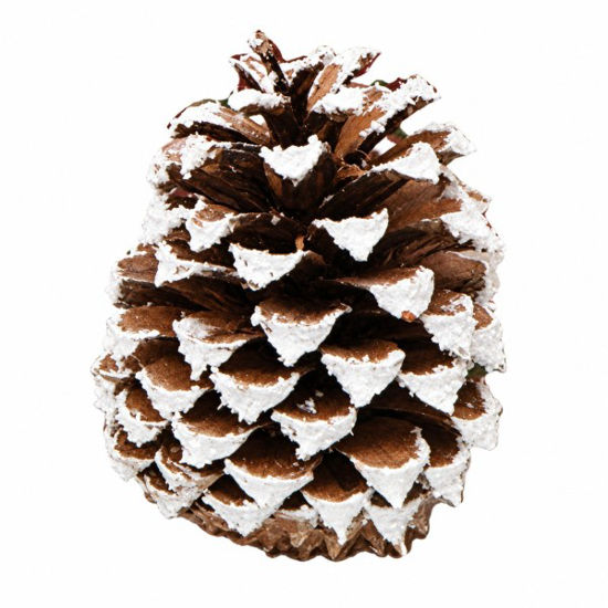 denafa38661-colgante-pina-natural-n