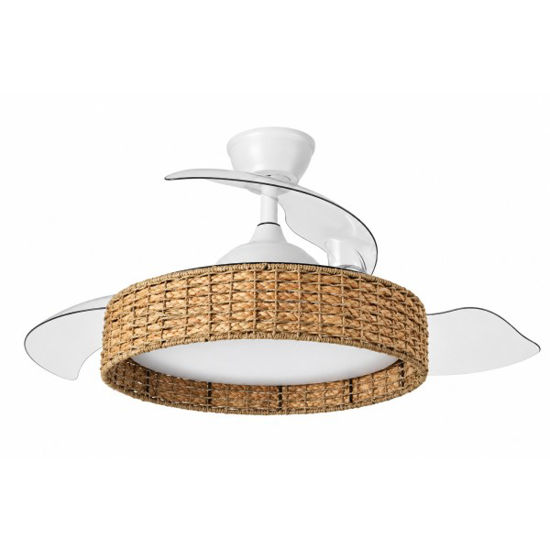 ilum242991368-ventilador-dc-canario
