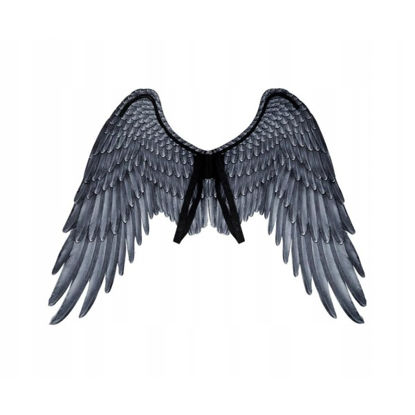 bola73203-alas-angel-negro-95x75cm