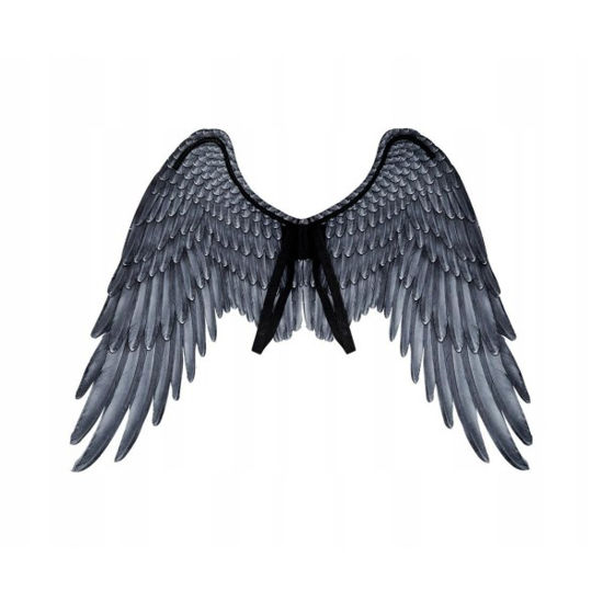 bola73203-alas-angel-negro-95x75cm