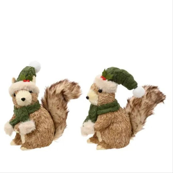 kaem704486-ardilla-c-gorro15cx9x21c