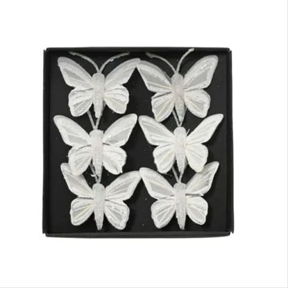 kaem703787-mariposas-clip-blanca-5x