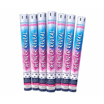 tila55087-canon-polvos-holi-gender-
