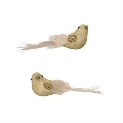 kaem703786-pajaro-oro-iridiscente-s