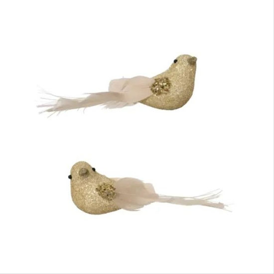 kaem703786-pajaro-oro-iridiscente-s