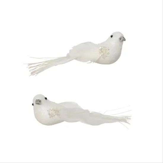 kaem703784-pajaro-blanco-iridiscent