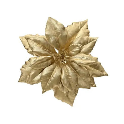 kaem708081-flor-pascua-c-borde-de-b