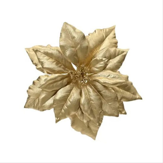 kaem708081-flor-pascua-c-borde-de-b