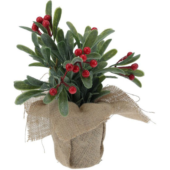 koopmt1001570-maceta-berries-yute
