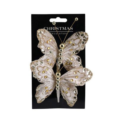 koophc4702500-mariposa-2u-12cm-stdo